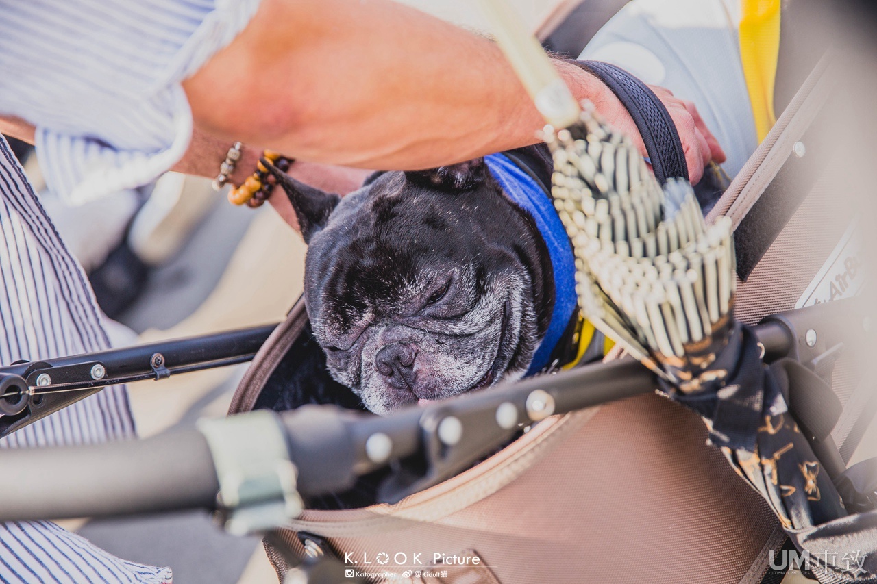 MOONEYES STREET CAR NATIONALS 30周年纪念聚会