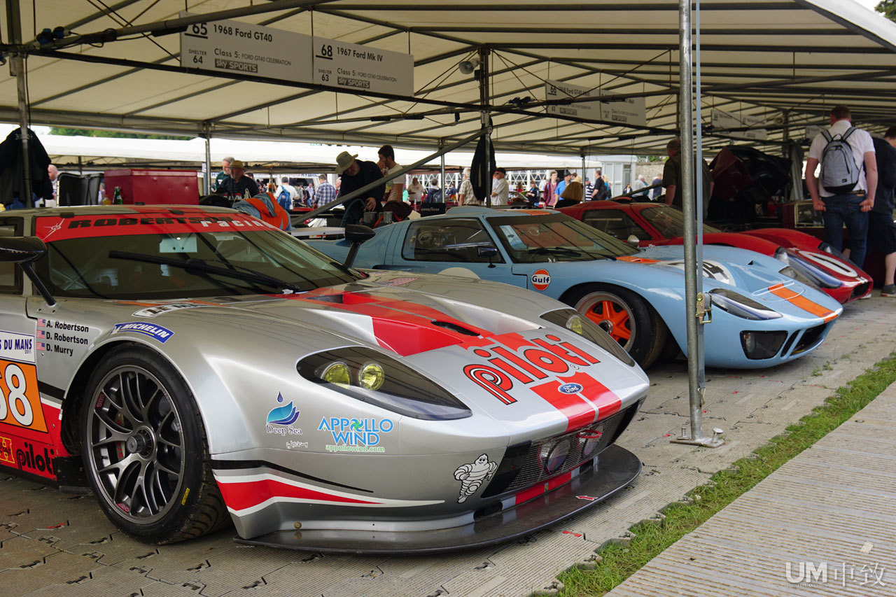 2016古德伍德现场