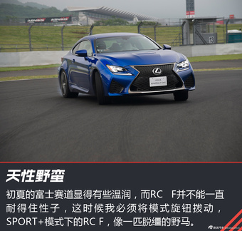 体验雷克萨斯F系列