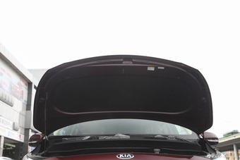 2015款嘉华（进口）2.2T自动豪华版