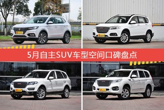 5月自主SUV车型空间口碑盘点