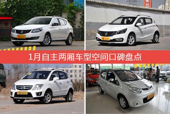 1月自主两厢车型空间口碑盘点
