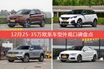 标致4008/标致5008等，12月25-35万欧系车型外观口碑汇总