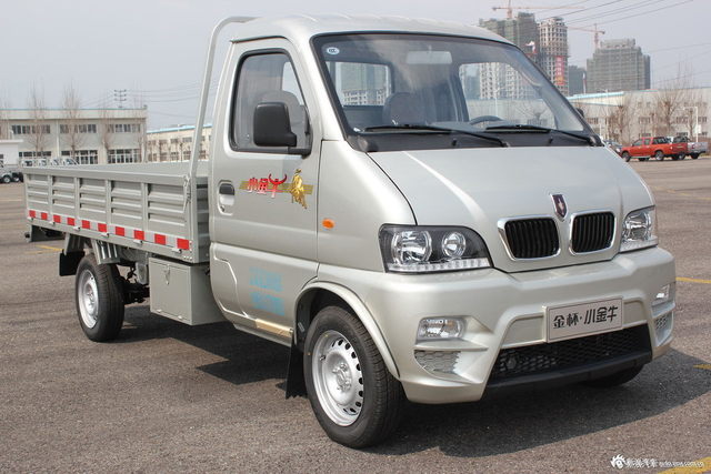 金杯小金牛图片