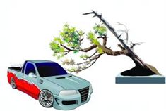 爱车被树砸车险赔偿70% 林业局负全责？