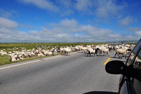 五一自驾 一辆家用舒适紧凑车绝对是最佳拍档