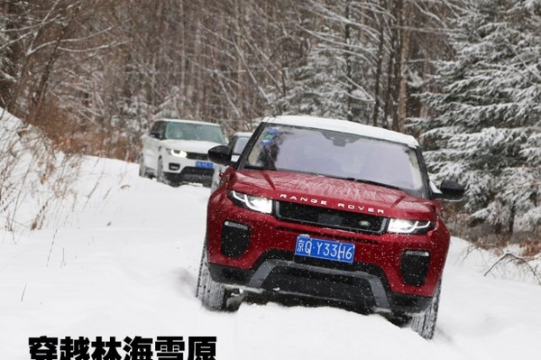 穿越林海雪原 2016款揽胜极光冰雪试驾