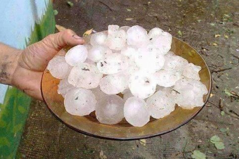 西班牙超大冰雹砸死羊，汽车被砸成筛子