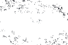 “灯”峰造极，看汽车大灯技术的演进