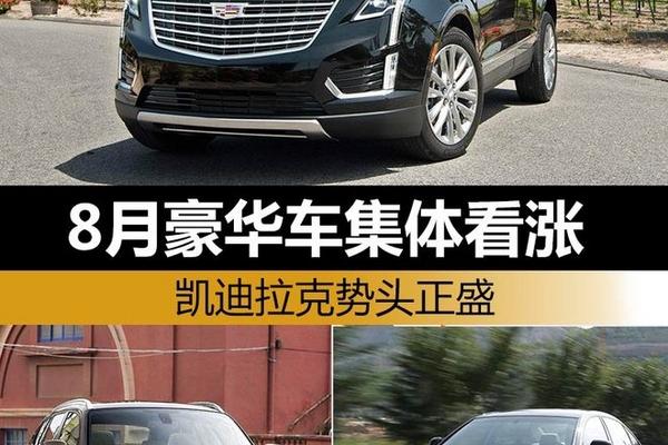 8月豪华车集体看涨 凯迪拉克势头正盛
