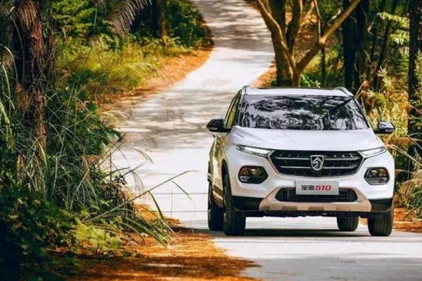 五菱和宝骏是怎么拿到这个奖的，全靠销量吗？