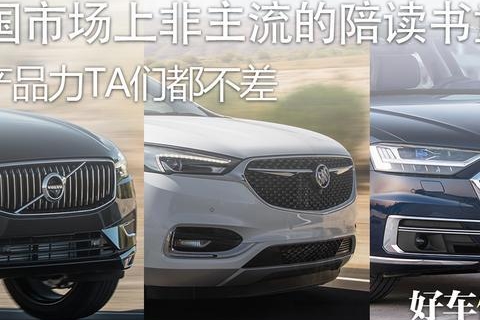 中国市场上非主流的陪读书童 论产品力TA们都不差