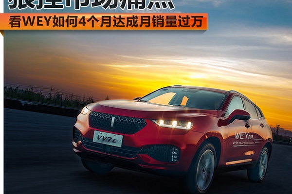 狠捏市场痛点 看WEY如何4个月便销量过万