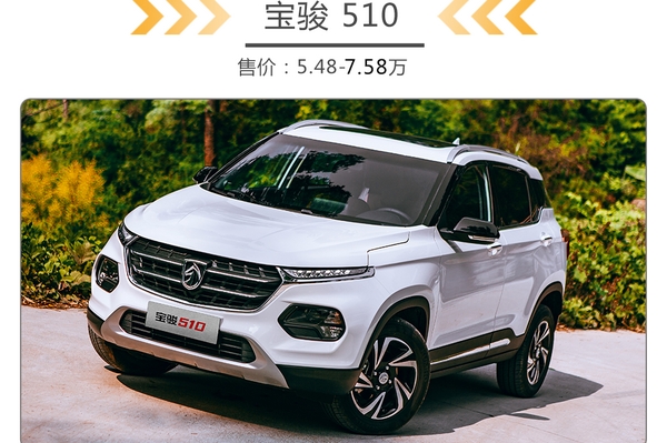 大家好，介绍一下，这是各级别的新霸主