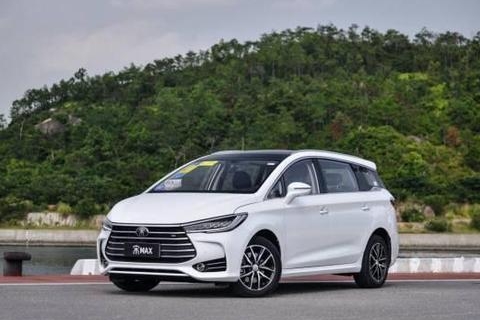 比亚迪在赖以生存的新能源市场惨败，销量暴跌后提前进入衰退期