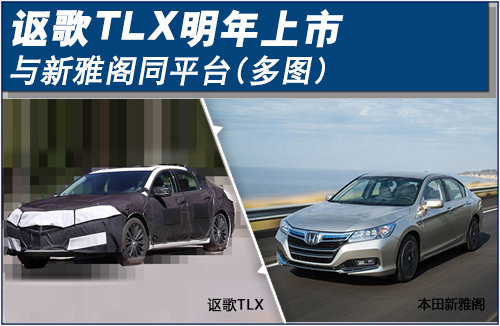 讴歌TLX明年上市 与新雅阁同平台(多图)