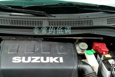 雨燕安装顶吧上作业异常低调