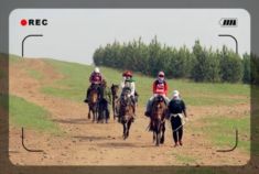 拥抱大自然 丰宁坝上游(2)