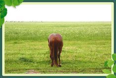 80后车主第一次远足坝上之旅