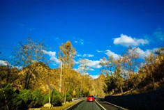 花落烟收 行在深秋落叶后