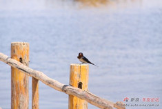 自驾路书——从呼和浩特到太原