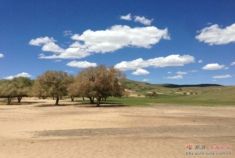 内蒙正蓝旗翁牛特旗沙漠越野