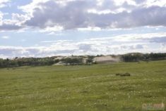 切大队端午浑善孤驹风光篇