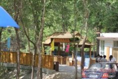 “蓝精灵”的明星周末