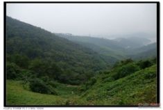 周末宝马哈雷机车友游京郊