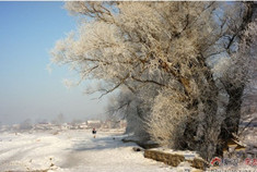 中国雪谷——零下三十度的美丽