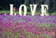 驾新H30 Cross阅尽武汉美景