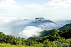 再上百花山 重回百草畔