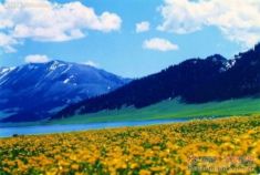 做一回天堂偷窥者 新疆伊犁自驾游