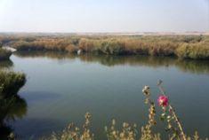 识途马游记系列之银川沙湖