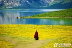 七月盛夏里的九色香巴拉