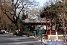 冬日里的北京菖蒲河公园