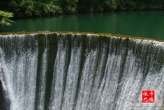 长洞湖之夏——那醉人的绿哟！