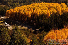 四川宝兴县神木垒自驾游攻略