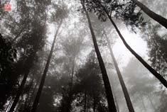 天然氧吧章怀山 梦圆莲花洞