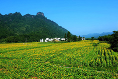 安徽休宁县齐云山--画里南坑