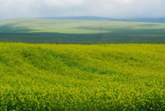 三千多公里西部游又见青海湖