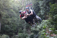 库兰达雨林：世界最古老雨林