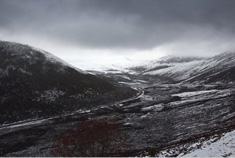 色季拉山白茫茫青葱苍凉美景