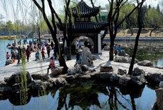 春意盎然亦陶然—北京陶然亭