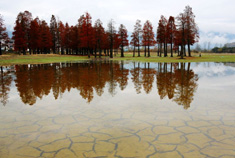 黟县奇墅湖秋色美景风光秀丽