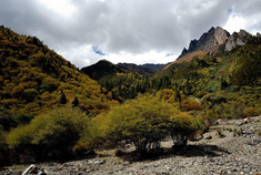 游九架海：深闺丽质素面朝天