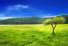 香格里拉走进你“心中的日月”