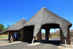 广袤的南非大地 动物的天堂