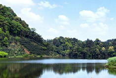 成都-蒲江踏春自驾游攻略