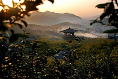 湖州长兴 一颗璀璨的太湖明珠